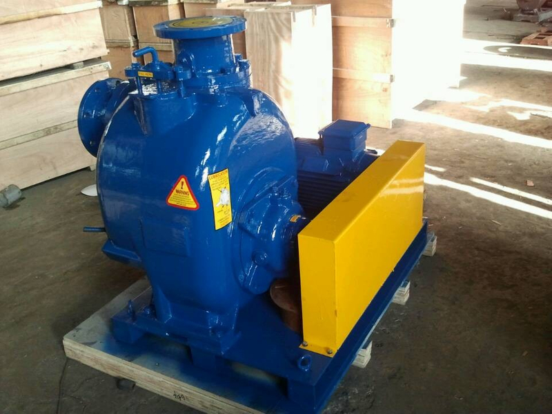 V Type Self-Priming Pump untuk Air Kolam Renang